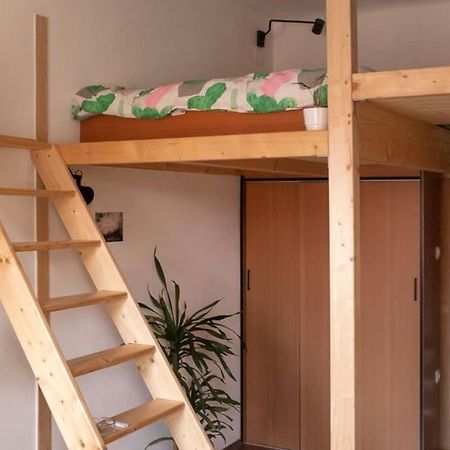 Lovely Loft Studio W Patio & Garden Lejlighed Opatija Eksteriør billede